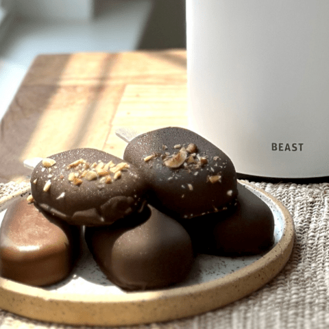 Chocolate Fudge Ice Cream Bars