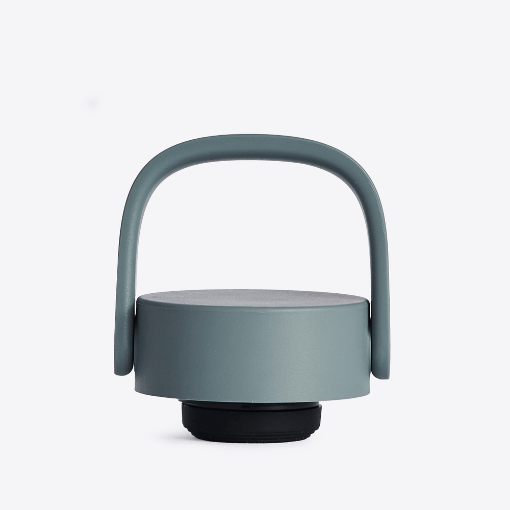 Beast Carry Cap | Mist